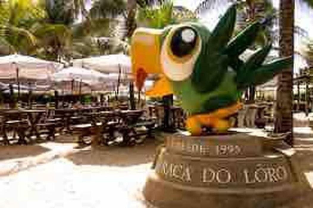 Pe Na Areia Vista Total Mar - O Paraiso E Aqui! Salvador Kültér fotó