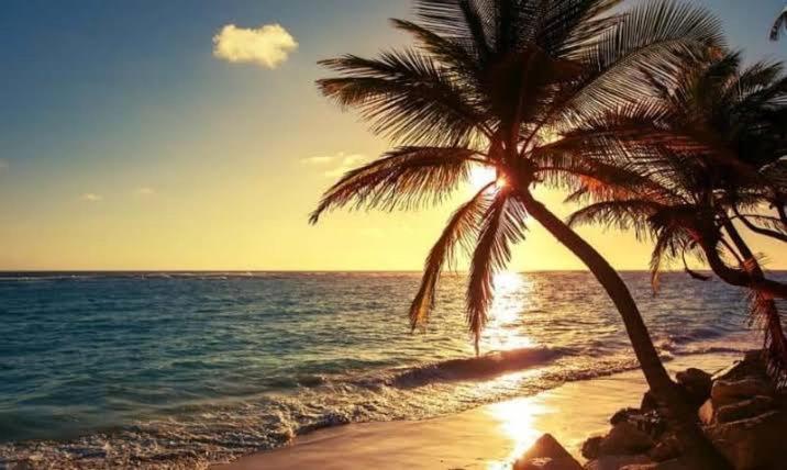 Pe Na Areia Vista Total Mar - O Paraiso E Aqui! Salvador Kültér fotó